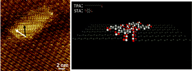 Graphical abstract: Building layer-by-layer 3D supramolecular nanostructures at the terephthalic acid/stearic acid interface