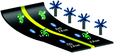 Graphical abstract: Heteroepitaxial growth of ZnO branches selectively on TiO2 nanorod tips with improved light harvesting performance
