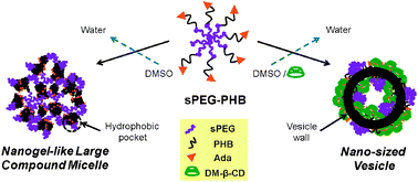 Graphical abstract: Amphiphilic star-block copolymers and supramolecular transformation of nanogel-like micelles to nanovesicles