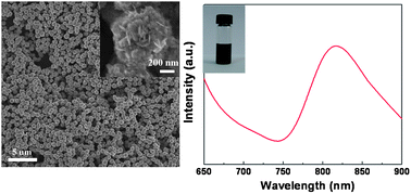 Graphical abstract: One-pot self-assembly of flower-like Cu2S structures with near-infrared photoluminescent properties