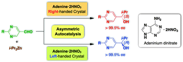 Graphical abstract: Asymmetric autocatalysis initiated by achiral nucleic acid base adenine: implications on the origin of homochirality of biomolecules