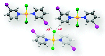 Graphical abstract: Metal-bound halogen atoms in crystal engineering