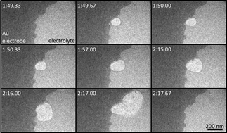 Graphical abstract: In situ observation of electrolytic H2 evolution adjacent to gold cathodes