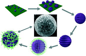 Graphical abstract: Electrodeposition of Ag nanosheet-assembled microsphere@Ag dendrite core–shell hierarchical architectures and their application in SERS