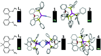Graphical abstract: Phosphorescent properties of metal-free diphosphine ligands and effects of copper binding