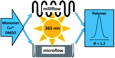 Graphical abstract: Photo-induced copper-mediated polymerization of methyl acrylate in continuous flow reactors