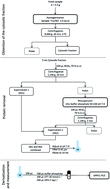 Graphical abstract: Determination of total glutathione in earthworms by ultra-high performance liquid chromatography with fluorescence detection