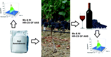 Graphical abstract: Simultaneous determination of Mo and Ni in wine and soil amendments by HR-CS GF AAS