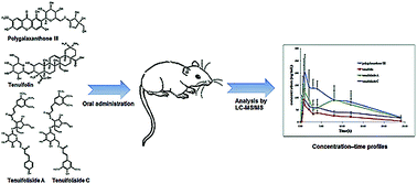 Graphical abstract: Simultaneous determination and pharmacokinetic study of polygalaxanthone III, tenuifolin, tenuifoliside A and tenuifoliside C in rat plasma by LC-MS/MS after oral administration