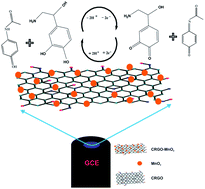 Graphical abstract: Electrochemical oxidation and determination of norepinephrine in the presence of acetaminophen using MnO2 nanoparticle decorated reduced graphene oxide sheets