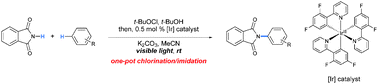 Graphical abstract: Nitrogen-centered radical-mediated C–H imidation of arenes and heteroarenes via visible light induced photocatalysis