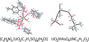 Graphical abstract: Ionothermal effects on low-dimensionality uranyl compounds using task specific ionic liquids