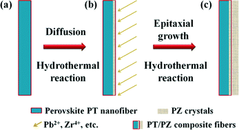 Graphical abstract: Single-crystal PbTiO3/PbZrO3 composite fibers formed by diffusion and epitaxial growth