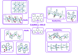 Graphical abstract: Coordination assemblies of CdII with 2,2′:6′,2′′-terpyridine (terpy), 2,3,5,6-tetra-(2-pyridyl)pyrazine (tppz) and pseudohalide ions – structural diversification and luminescence properties