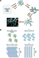 Graphical abstract: Aqueous chemical synthesis of tellurium nanowires using a polymeric template for thermoelectric materials