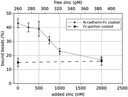 Graphical abstract: N-cadherin-mediated cell adhesion is regulated by extracellular Zn2+