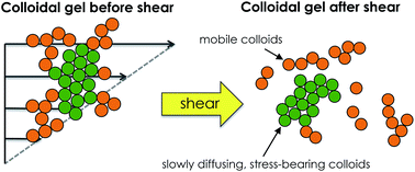 Graphical abstract: Role of shear-induced dynamical heterogeneity in the nonlinear rheology of colloidal gels