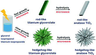 Graphical abstract: Morphological variation of anatase TiO2 crystals via formation of titanium glycerolate precursors under microwave irradiation