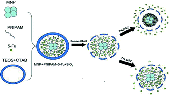 Graphical abstract: Fabrication and potential application of a di-functional magnetic system: magnetic hyperthermia therapy and drug delivery