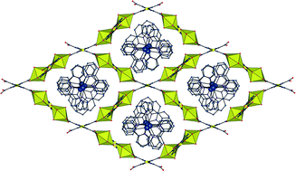 Graphical abstract: Counter-ion control of structure in uranyl ion complexes with 2,5-thiophenedicarboxylate