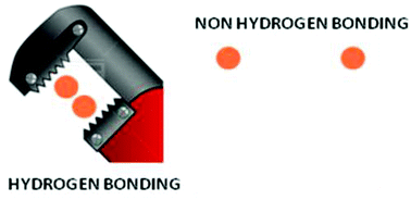 Graphical abstract: Intramolecular hydrogen bonding stabilizes the nuclearity of complexes. A comparative study based on the H-carborane and Me-carborane framework