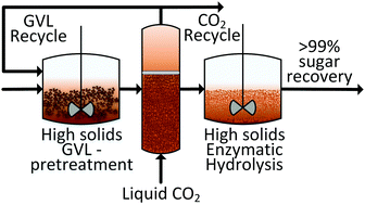 Graphical abstract: A mild biomass pretreatment using γ-valerolactone for concentrated sugar production