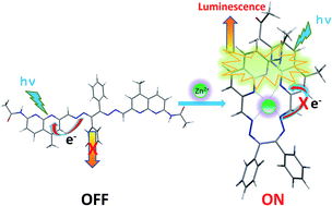 Graphical abstract: 1,8-Naphthyridine-based molecular clips for off–on fluorescence sensing of Zn2+ in living cells