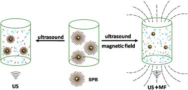 Graphical abstract: Efficiently amplified ultrasonic degradation of spherical polyelectrolyte brushes by a magnetic field