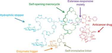 Graphical abstract: A mechanically interlocked molecular system programmed for the delivery of an anticancer drug