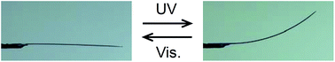 Graphical abstract: Light-driven bending of diarylethene mixed crystals