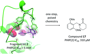 Graphical abstract: A poised fragment library enables rapid synthetic expansion yielding the first reported inhibitors of PHIP(2), an atypical bromodomain