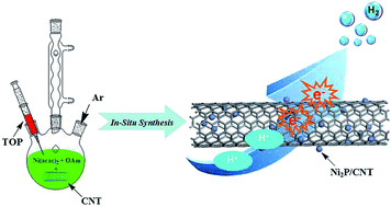 Graphical abstract: Carbon nanotubes decorated with nickel phosphide nanoparticles as efficient nanohybrid electrocatalysts for the hydrogen evolution reaction