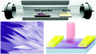 Graphical abstract: High performance near-infrared photodetectors based on ultrathin SnS nanobelts grown via physical vapor deposition