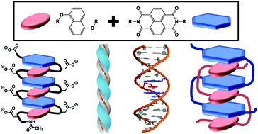 Graphical abstract: Exploiting the interactions of aromatic units for folding and assembly in aqueous environments