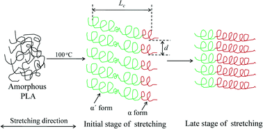 Graphical abstract: Thermal strain-induced cold crystallization of amorphous poly(lactic acid)