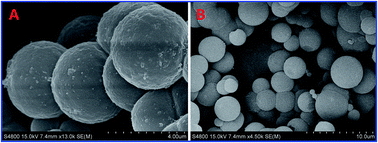 Graphical abstract: A fluorescent molecularly imprinted polymer sensor synthesized by atom transfer radical precipitation polymerization for determination of ultra trace fenvalerate in the environment