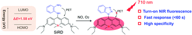 Graphical abstract: Rational design of a fast and selective near-infrared fluorescent probe for targeted monitoring of endogenous nitric oxide