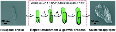 Graphical abstract: Growth mechanism study of clustered aggregates of dirithromycin crystals in N,N-dimethylformamide solvent