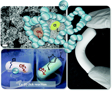 Graphical abstract: Flexible organofunctional aerogels