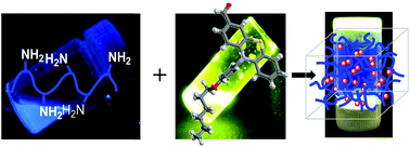 Graphical abstract: Chitosan hydrogelation with a phenothiazine based aldehyde: a synthetic approach toward highly luminescent biomaterials
