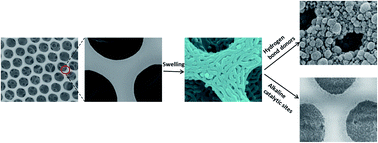 Graphical abstract: Combined use of breath figures process and microphase separation of PS-b-P4VP to produce stable porous nanomaterials