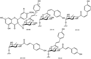 Graphical abstract: Anti-inflammatory flavonol acylglycosides from the aerial part of Lindera akoensis Hayata