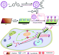 Graphical abstract: Light-triggered C60 release from a graphene/cyclodextrin nanoplatform for the protection of cytotoxicity induced by nitric oxide