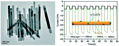Graphical abstract: Isovalent bismuth ion-induced growth of highly-disperse Sb2S3 nanorods and their composite with p-CuSCN for self-powered photodetectors