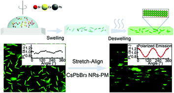 Graphical abstract: In situ synthesis and macroscale alignment of CsPbBr3 perovskite nanorods in a polymer matrix