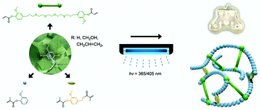 Graphical abstract: Sustainable near UV-curable acrylates based on natural phenolics for stereolithography 3D printing