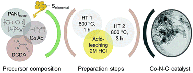 Graphical abstract: On the role of hydroxide species in sulphur- and nitrogen-doped cobalt-based carbon catalysts for the oxygen evolution reaction