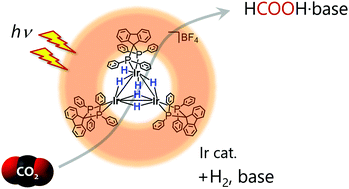 Graphical abstract: Light-driven catalytic hydrogenation of carbon dioxide at low-pressure by a trinuclear iridium polyhydride complex