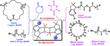 Graphical abstract: Dialkylaluminum 2-substituted 6,6-dimethylcyclopentylpyridin-7-oxylates toward structural-differentiation of the ring-opening polymerization of ε-caprolactone and l-lactides