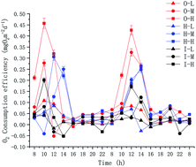 Graphical abstract: Plant rhizosphere, soil microenvironment, and functional genes in the nitrogen removal process of bioretention